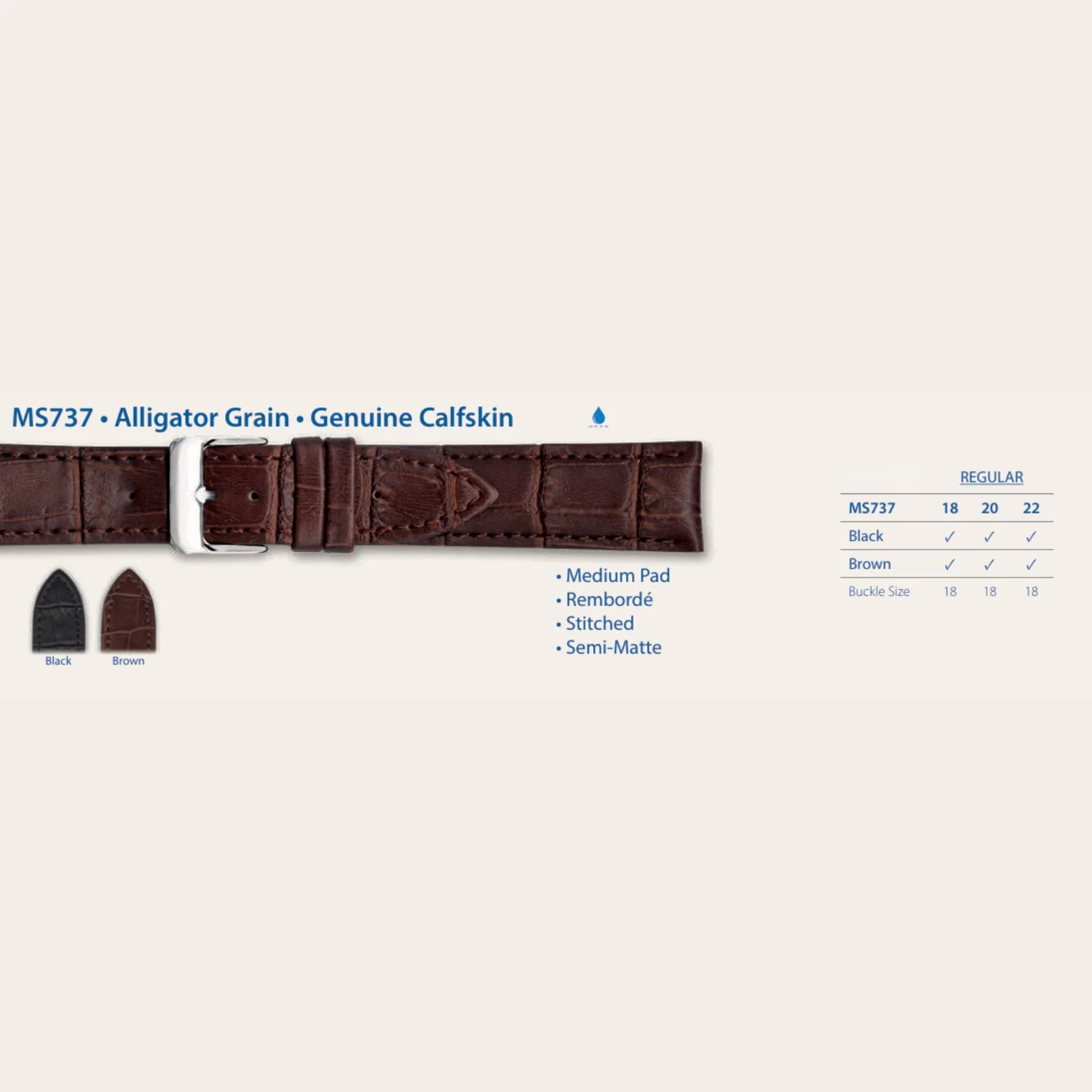 MS737 - Alligator Grain • Genuine Calfskin - Hadley Roma Watch Strap - Image 6